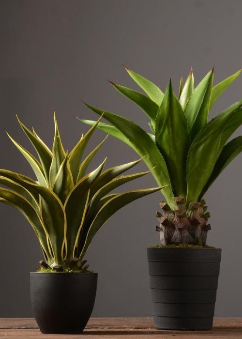 Decoration: Artificial Plant